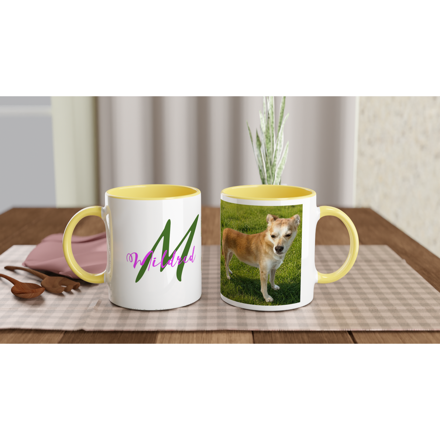 3d09f1d5-ba47-4958-97a3-b9336c6870ff