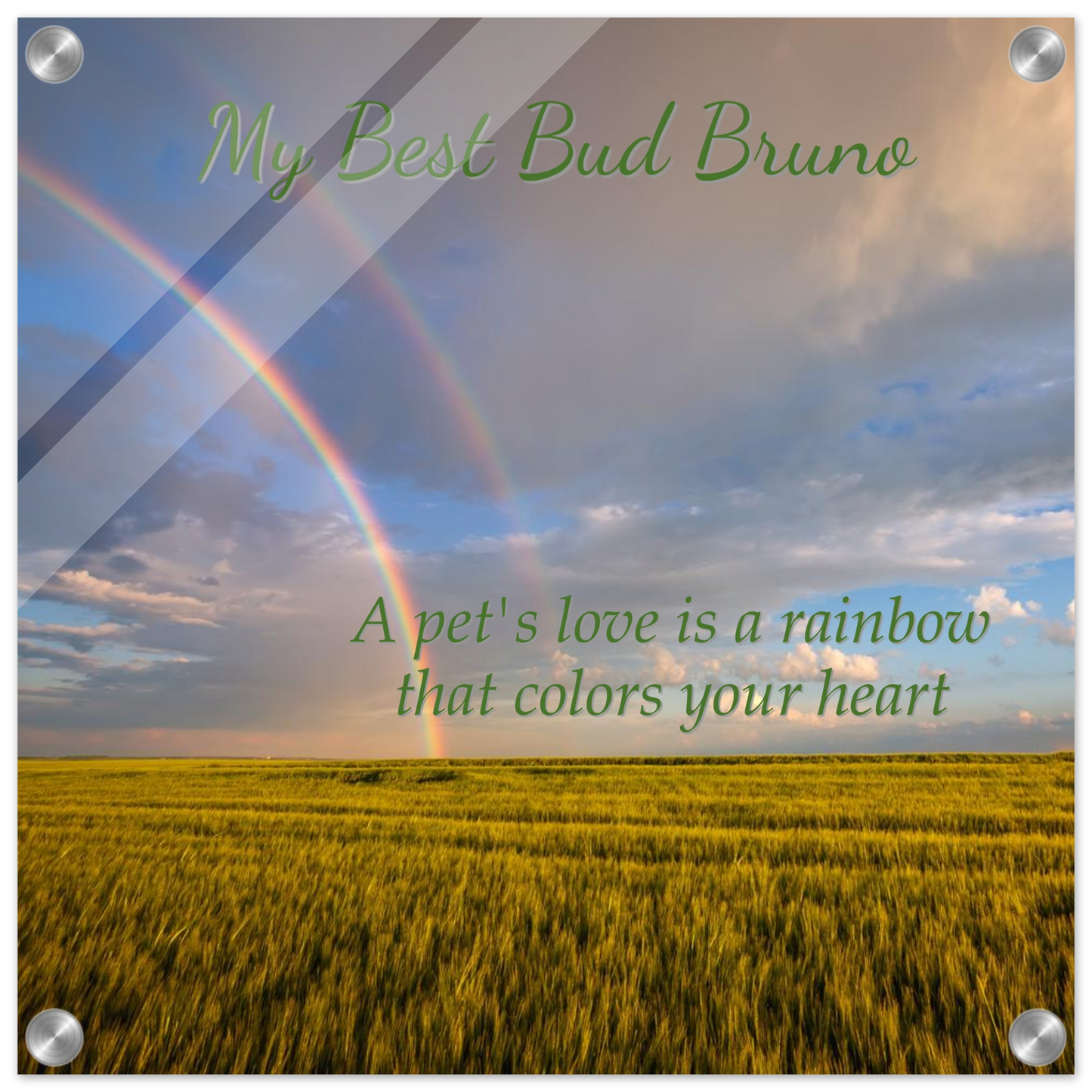 4292519a-b0ef-4721-9030-d23956b4a2cd