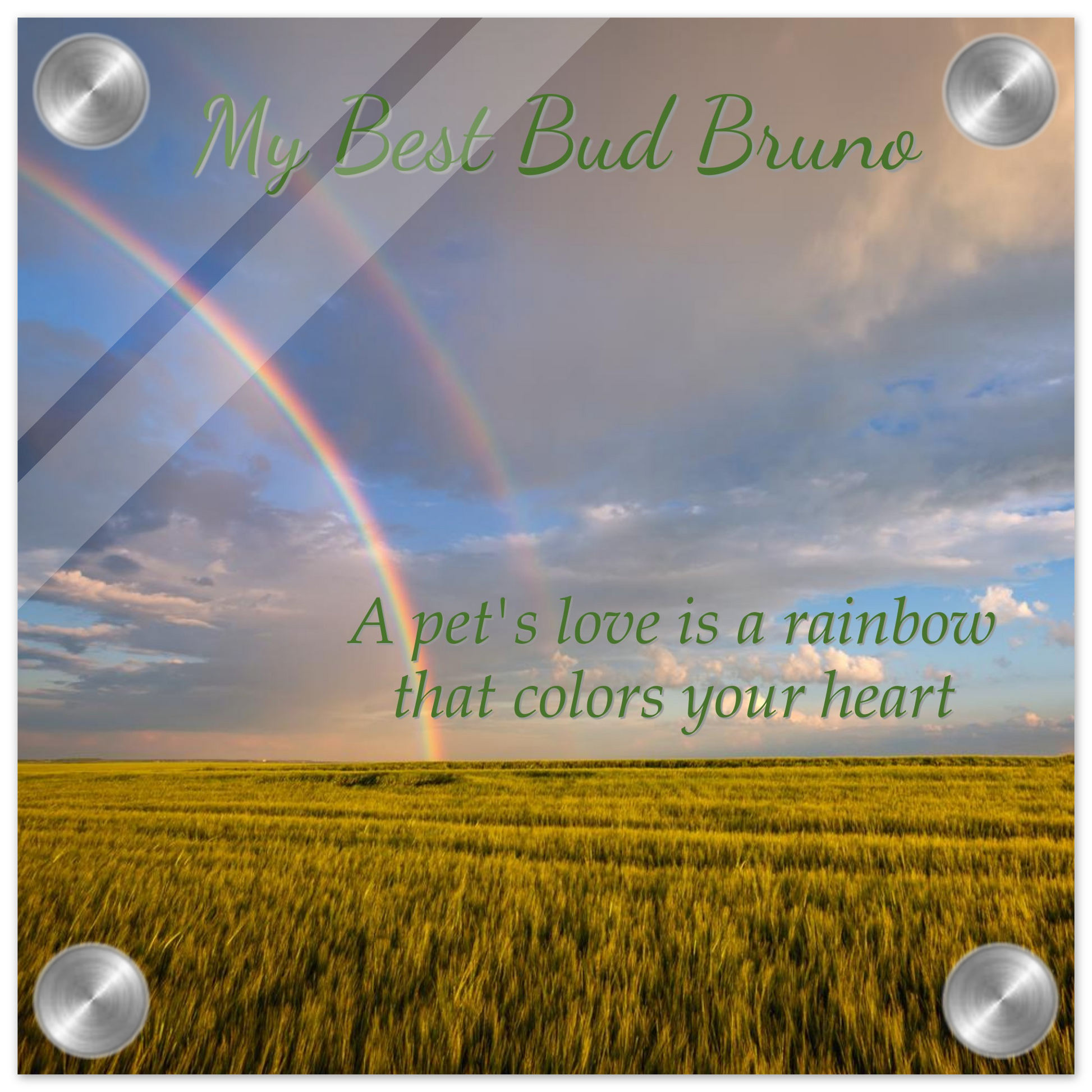 9c5bb36c-7ca6-4b4d-83fd-a7bbfd5df811
